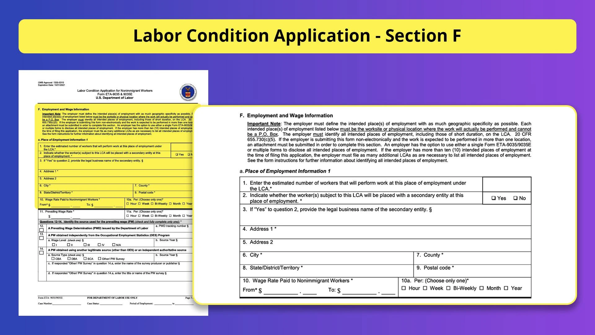 Understanding the Labor Condition Application