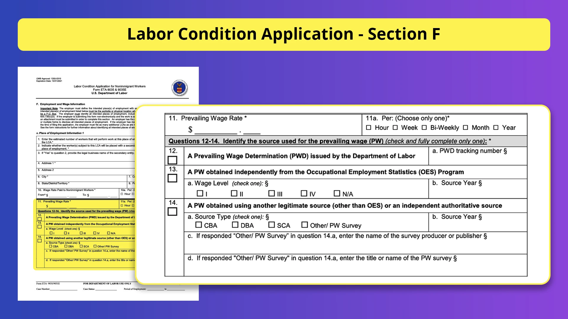 Understanding the Labor Condition Application