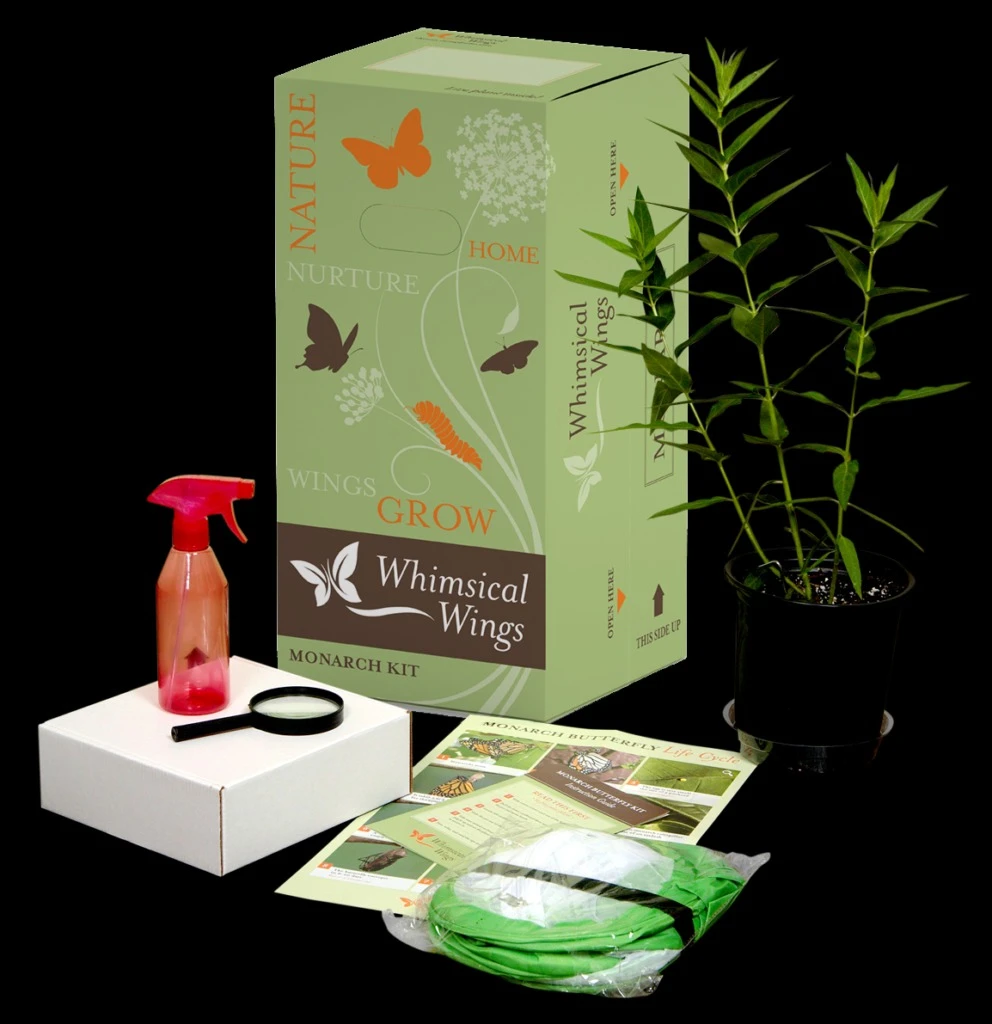 Explore the Magic of Monarch Butterfly Kits for Education