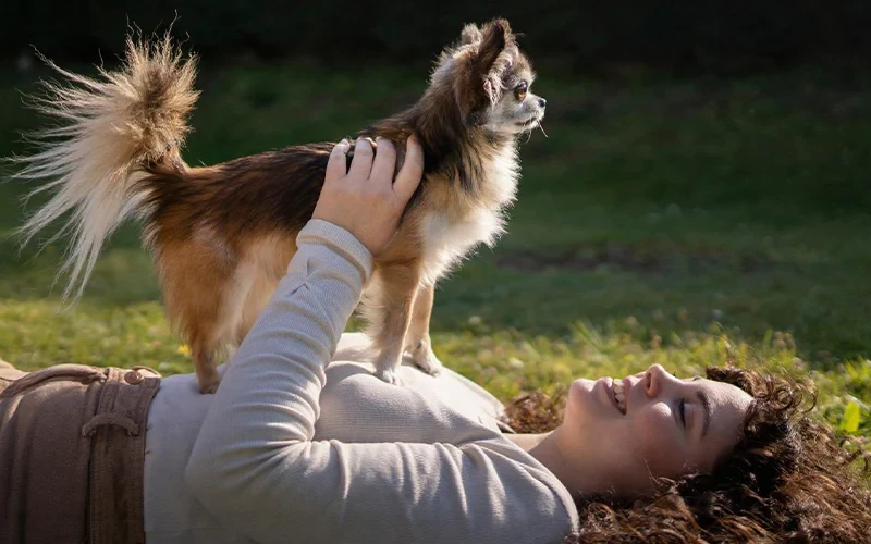 Top 5 Common Dog Health Issues and How to Prevent Them