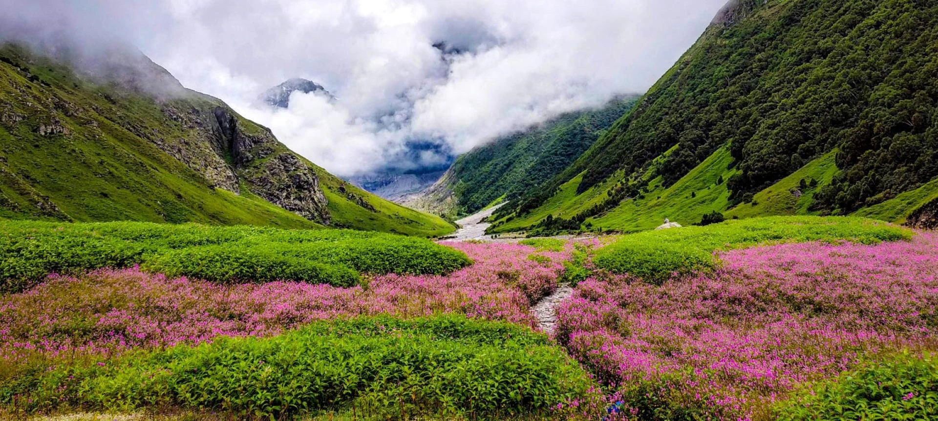 Top 5 Must To-Do Treks in India.