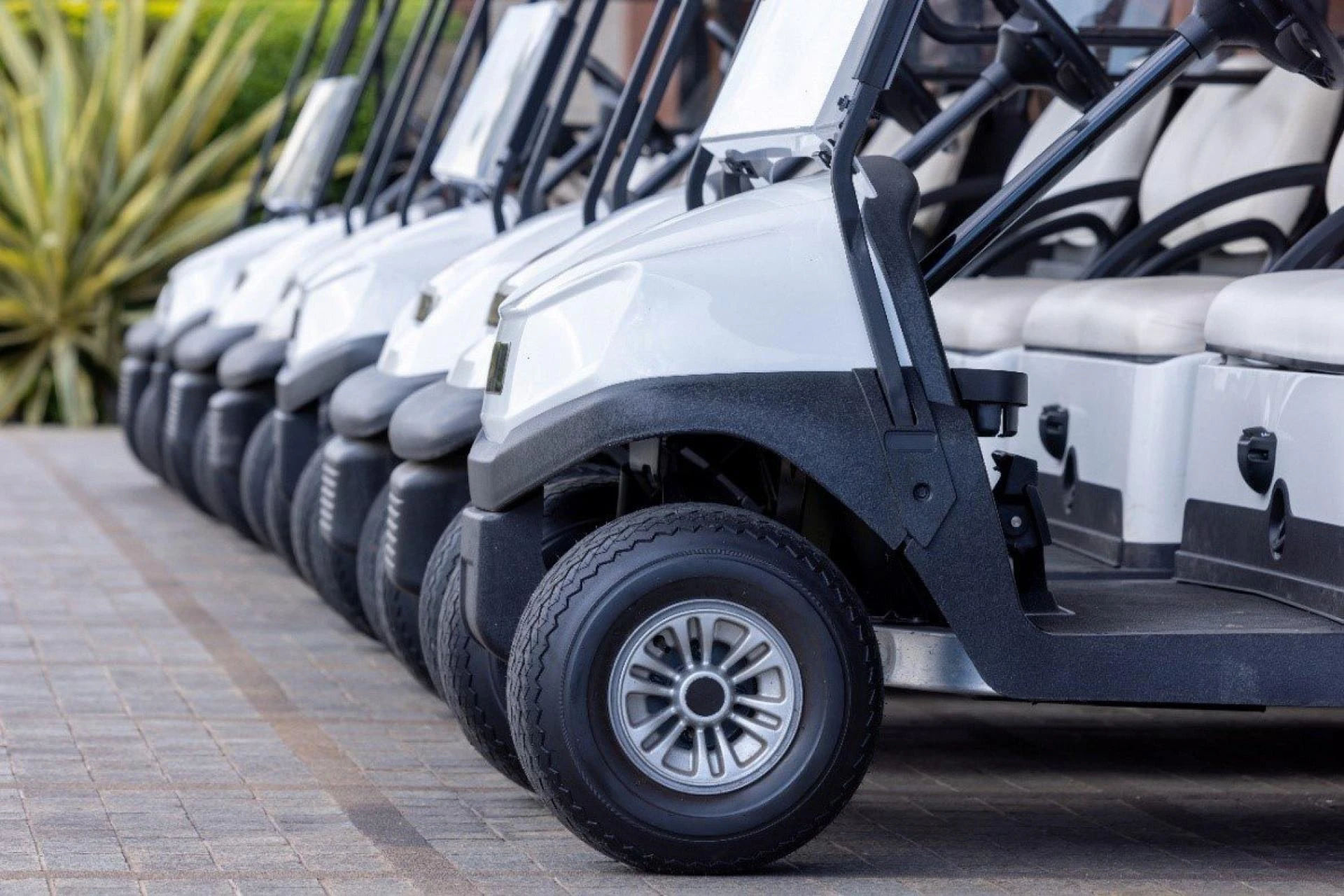 Master Safe Operations with Expert Golf Cart Driver Training Online