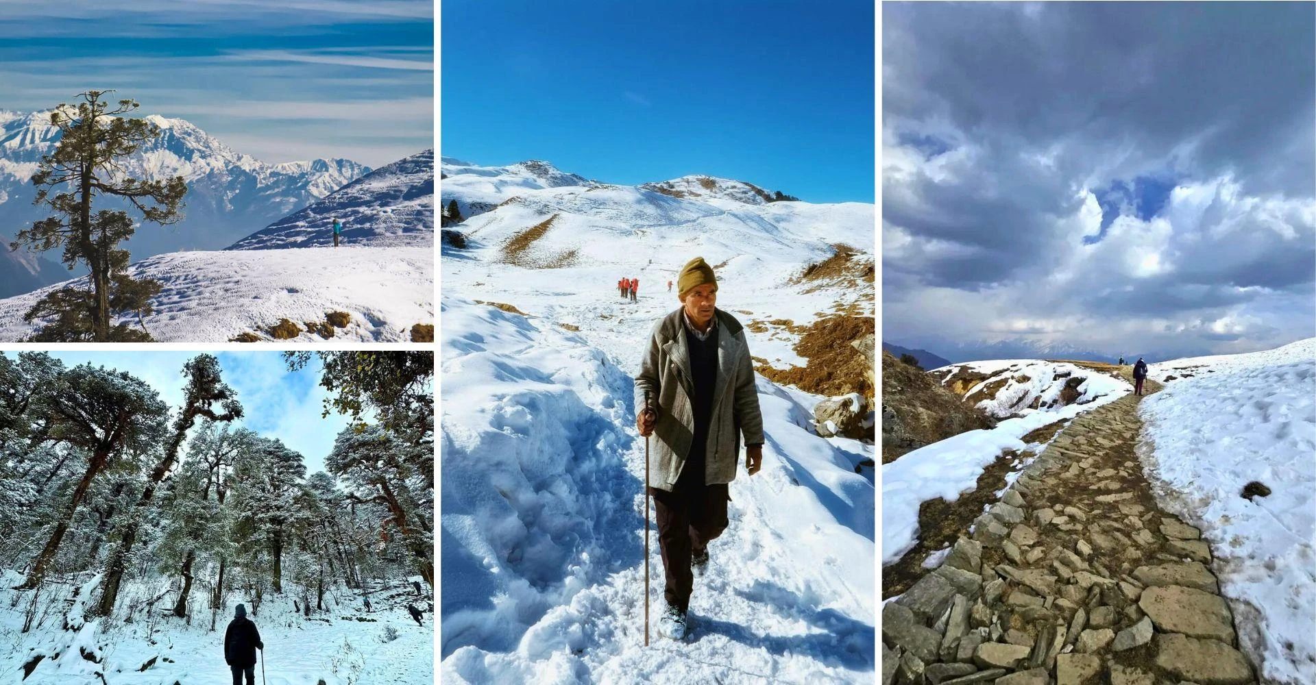 Top 5 Trekking Destinations in India for Nature Lovers