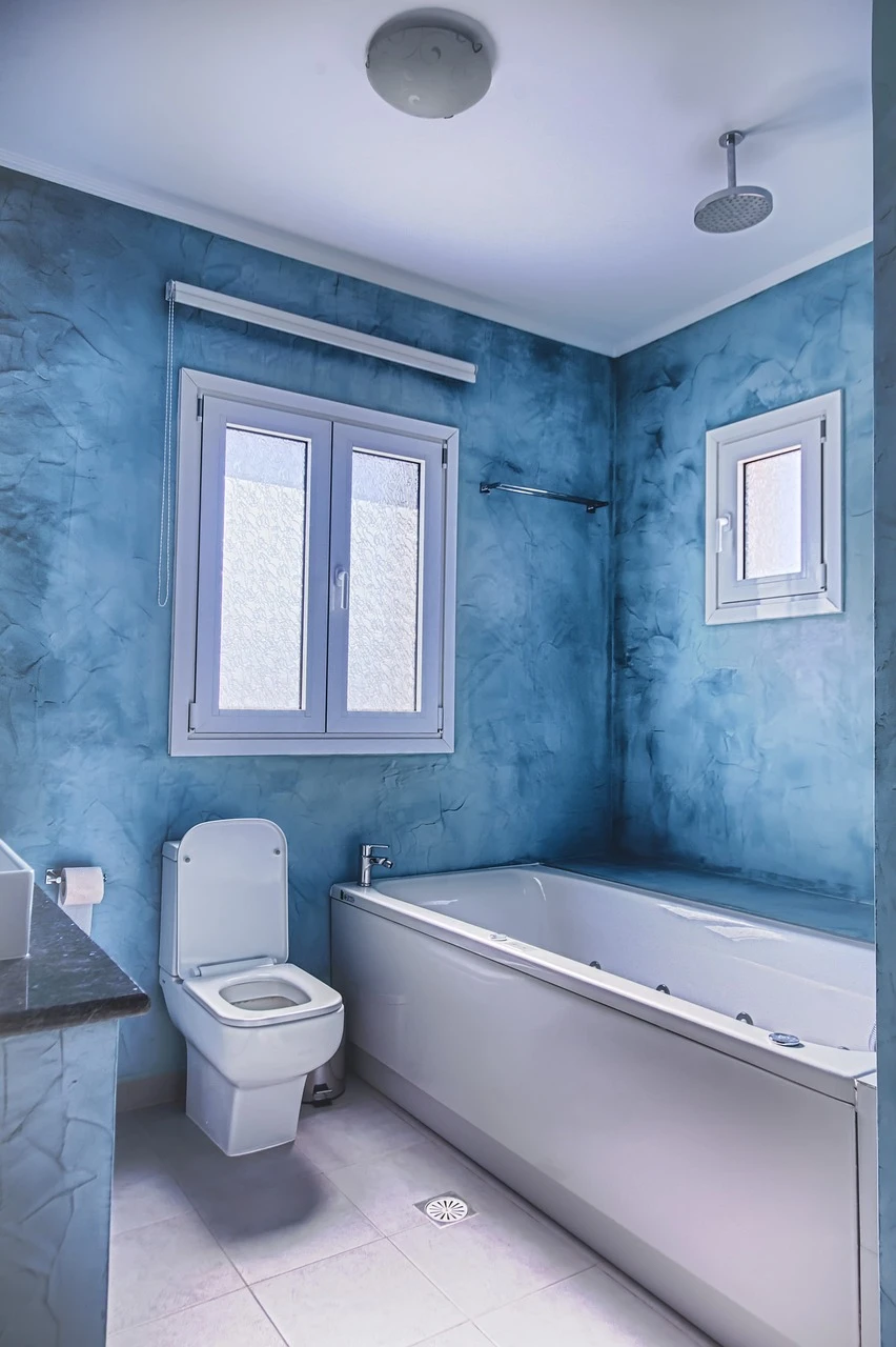 Upgrade Your Bathroom: Choosing the Right Toilet for Your Home