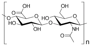 Is Hyaluronic Acid the Secret to Youthful Skin? Let’s Break It Down