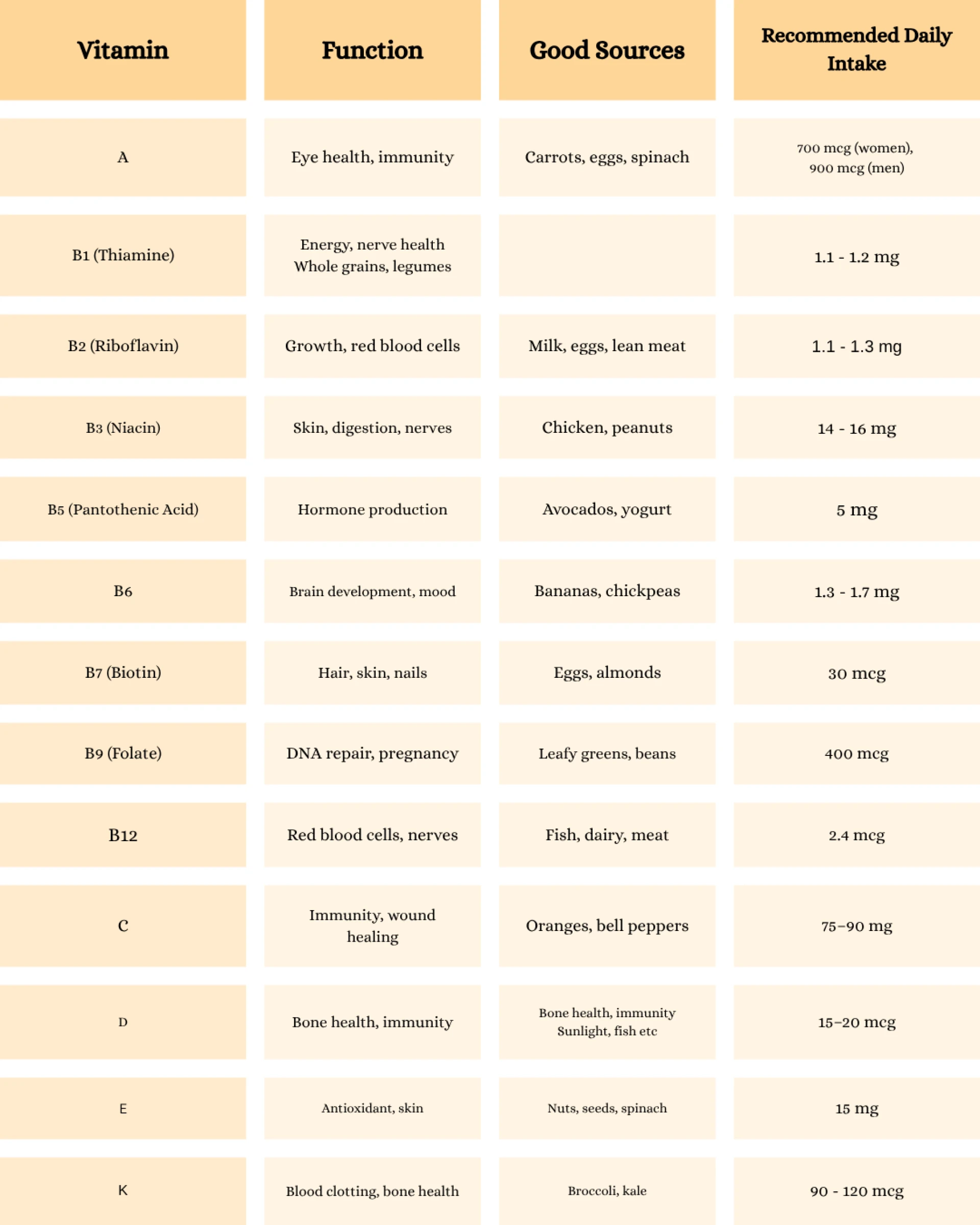 Your Daily Dose of Vitamins: What You Need to Know