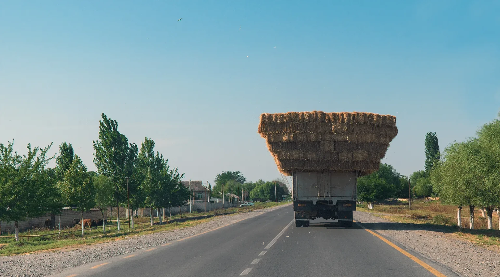 Best Practices for Choosing a Truck for Transporting Goods with Cost-Effective Booking Prices