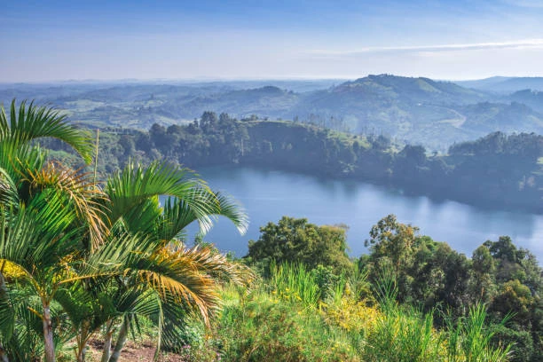 Top 5 National Parks in Uganda for Wildlife Safaris