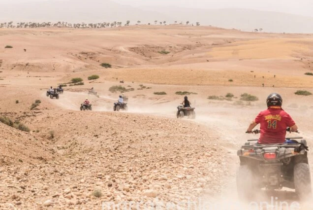 Feel the Rush: Discover Morocco’s Desert on a Marrakech Quad Bike Tour
