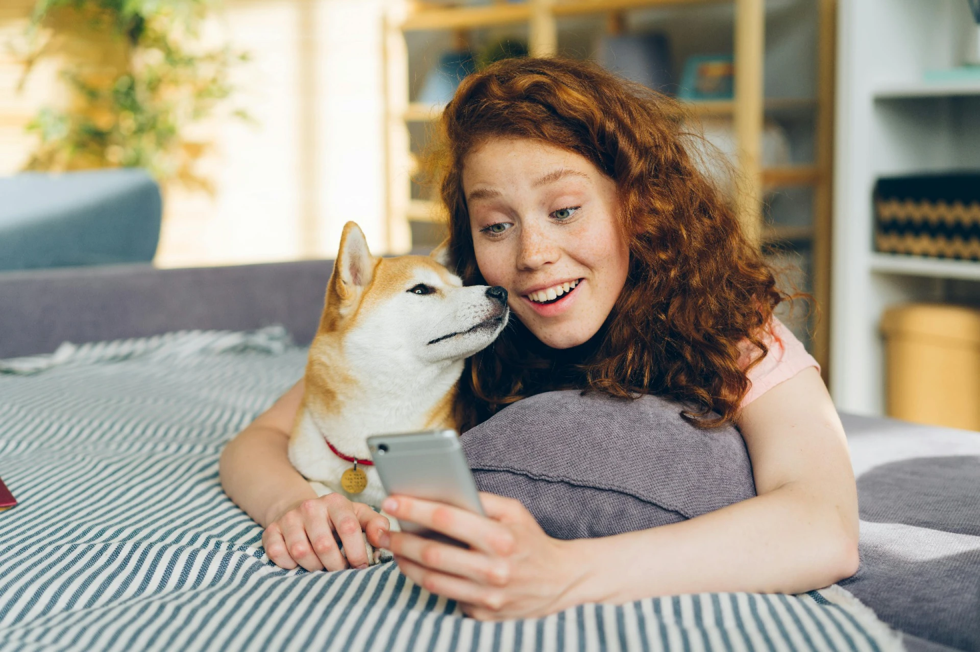 10 Benefits of Buying Pet Supplies from an Online Store