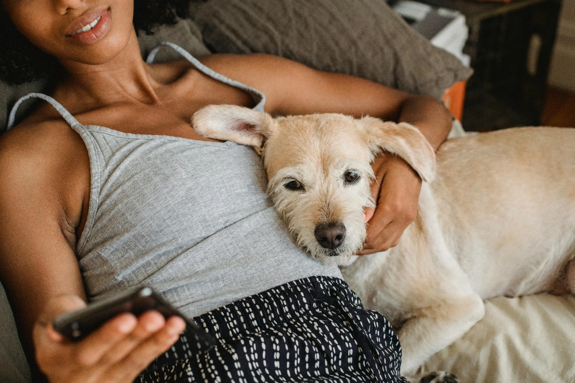 10 Benefits of Buying Pet Supplies from an Online Store