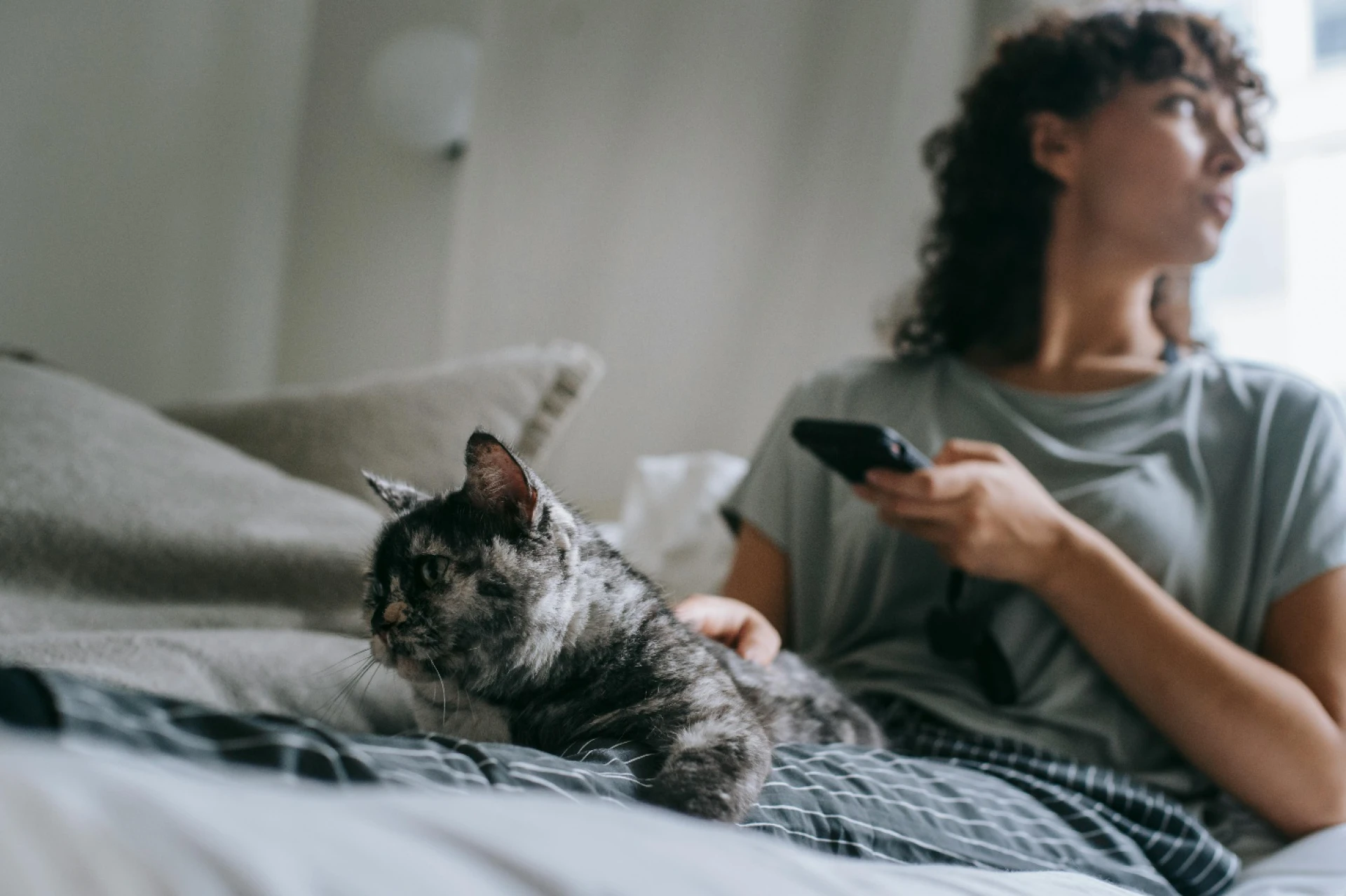 10 Benefits of Buying Pet Supplies from an Online Store