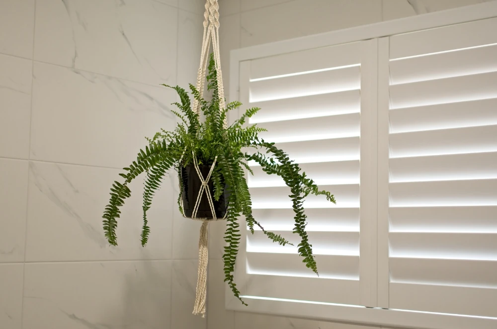 The Real Value of Plantation Shutters Indoors