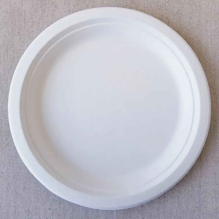 The Smart Switch: Why Bagasse Plates Are Taking Over Catering and Takeout in 2025