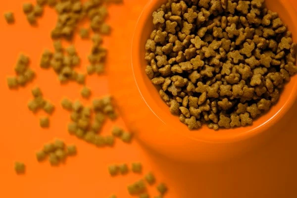 Can Meals for Mutts Be Formed from Salmon and Sardine? Is This Healthy for Them?