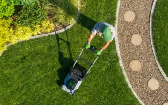 Transform Your Garden: Chichester Lawn Care Solutions