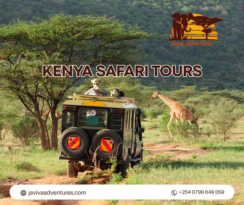 Here’s Why Personalized Kenya Safaris Outshine the Rest