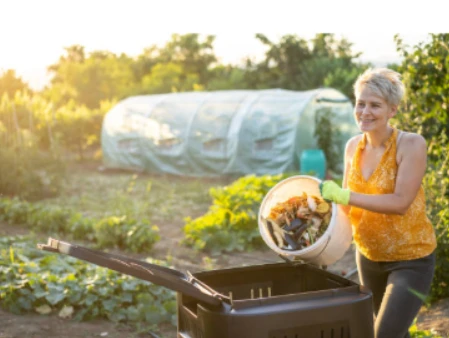 Professional Lawn Care Services in Chichester