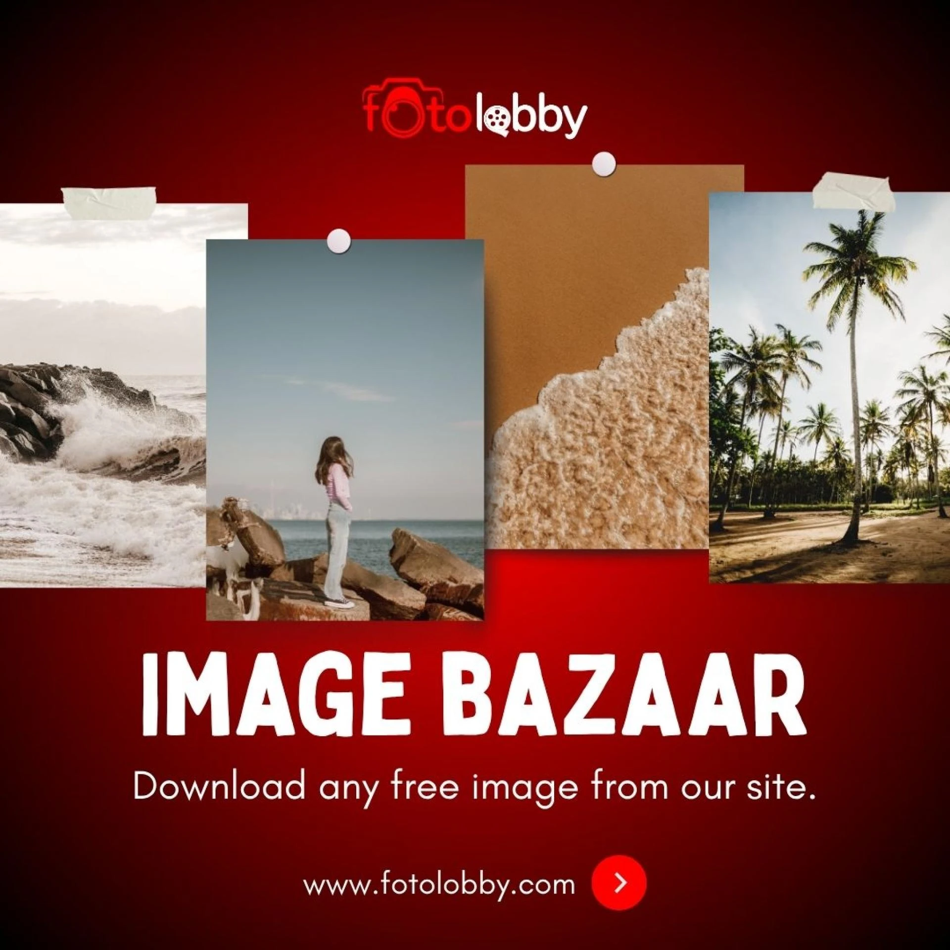 Where Images Speak Louder – Inside Fotolobby