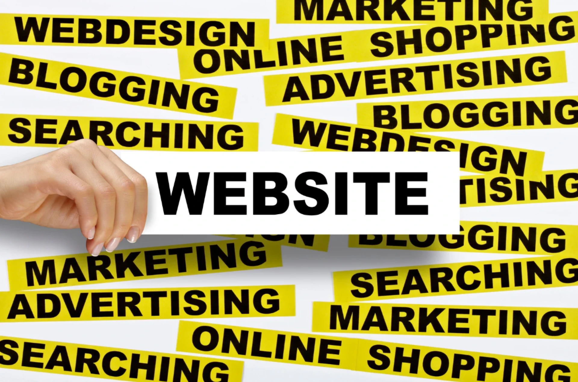 Why Every Food Truck Needs a Custom Website