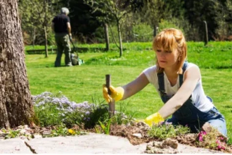 Transform Your Garden with Expert Lawn Care in Chichester