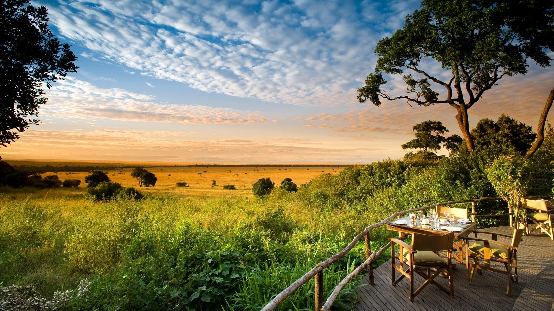Experience Africa’s Untamed Beauty on a Thrilling Kenya Safari