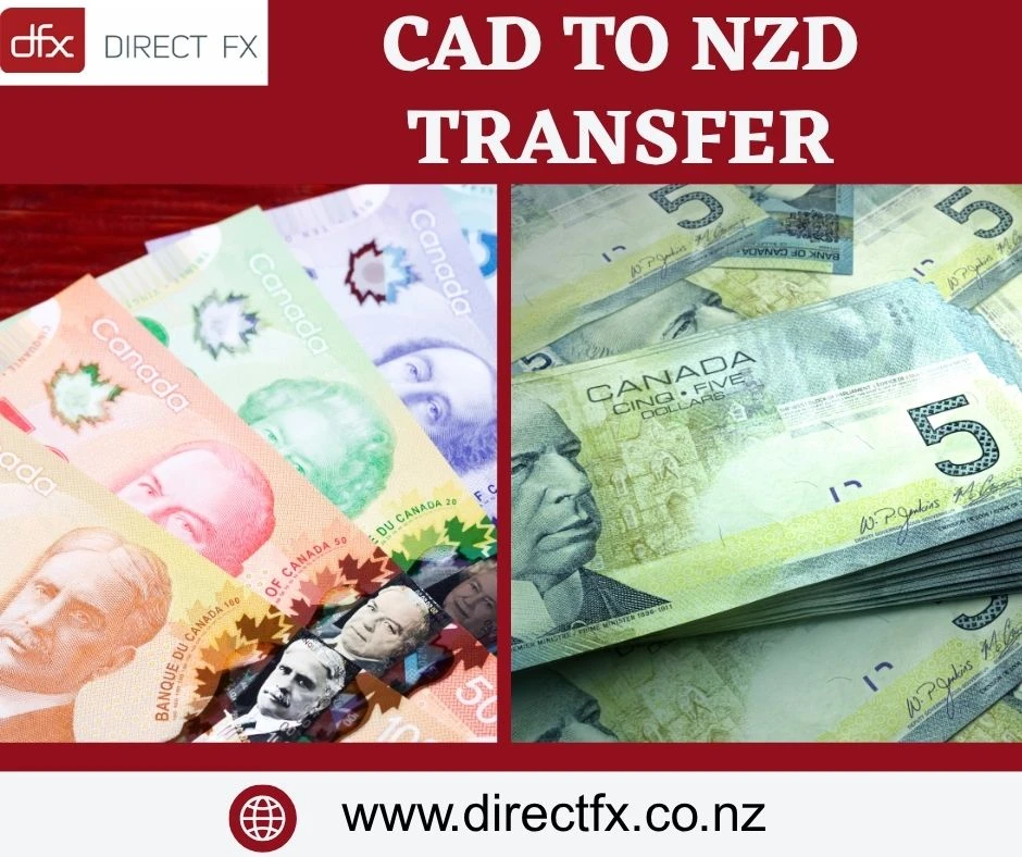 How to Make an EUR to NZD Transfer Without Paying High Fees?