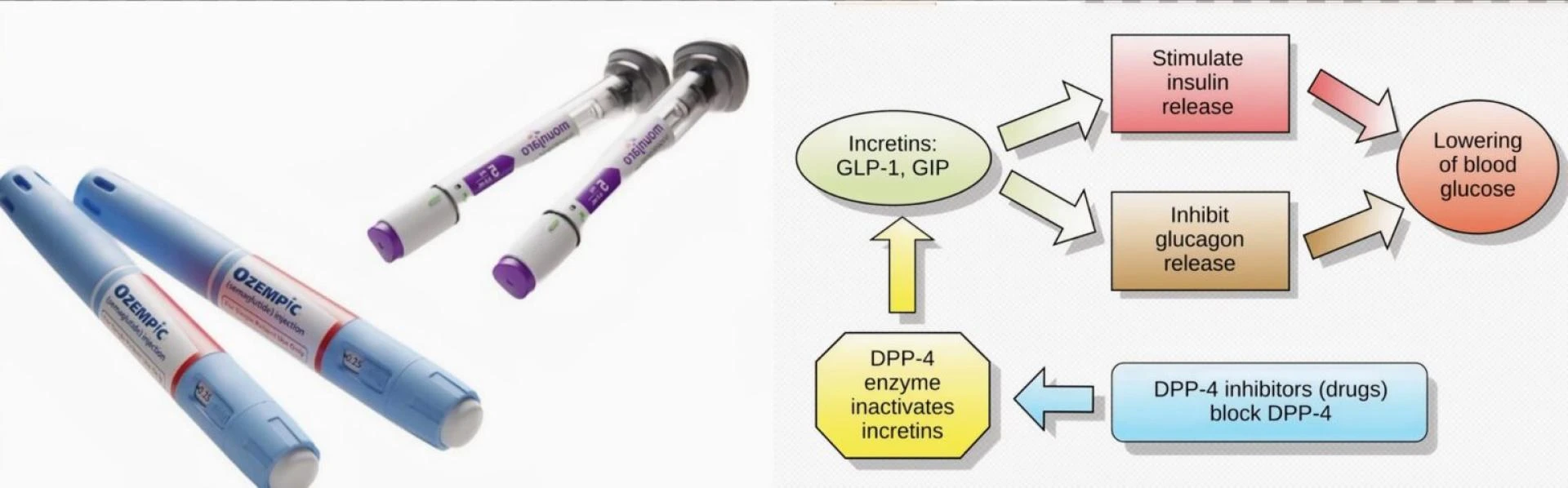 Exploring Weight Loss Options: From Balloons to Medications