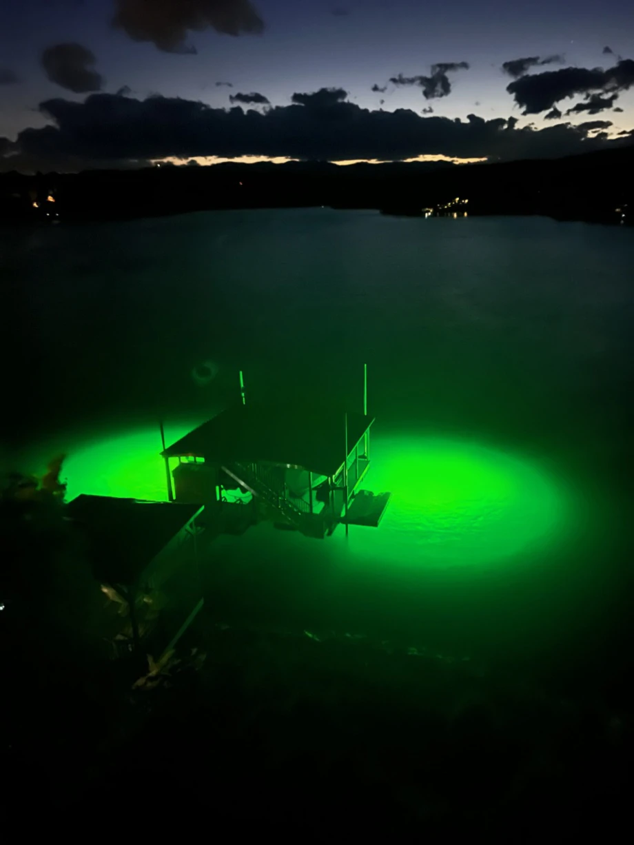 How Divers Use Underwater Green Lights for Night Photography