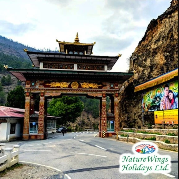 Bhutanese Cuisine to Savor in Bhutan Packages from Bangalore