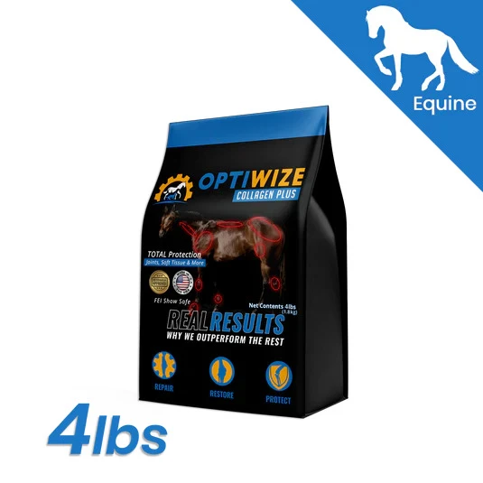 How to Identify the Signs of Stifle Lameness in Horses