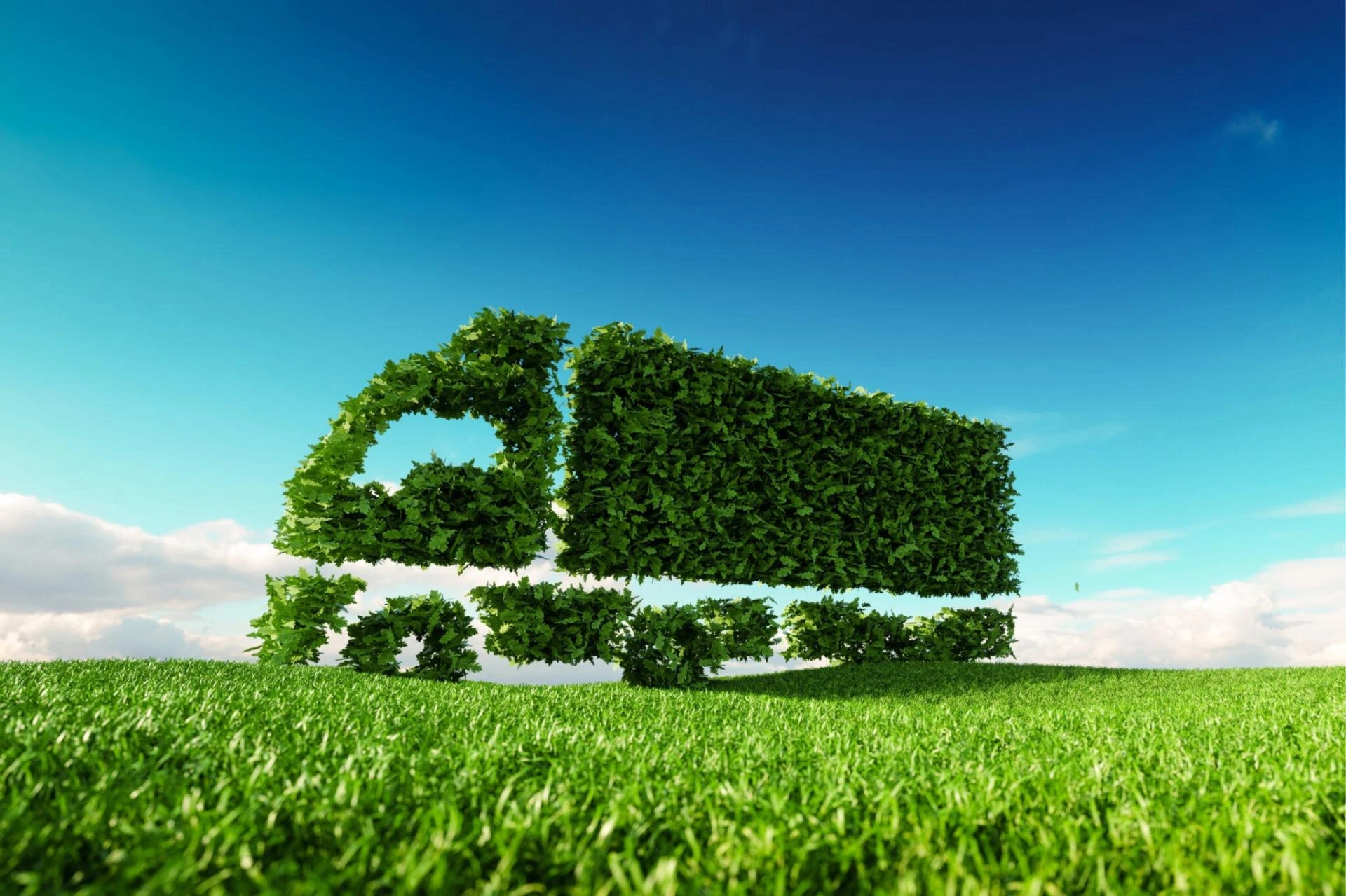 Domestic Oil Suppliers: Reliable Heating for Every Home