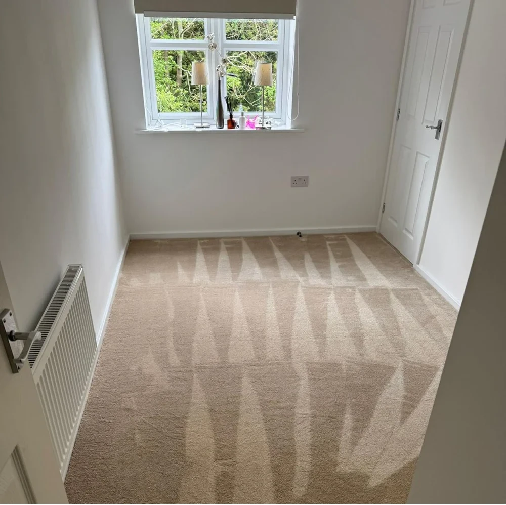 What is a Saxony Carpet? A Complete Guide for Homeowners