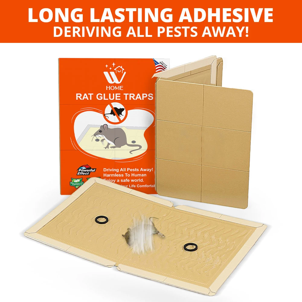 Effective Rodent Control with WBM Rat glue Traps