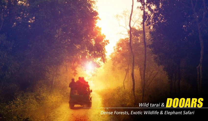 Wildlife Encounters in a Dooars Tour Package