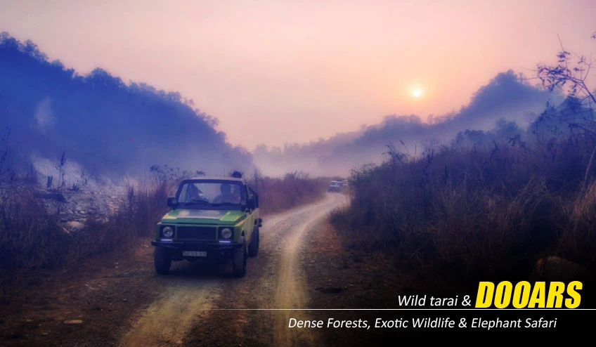Wildlife Encounters in a Dooars Tour Package