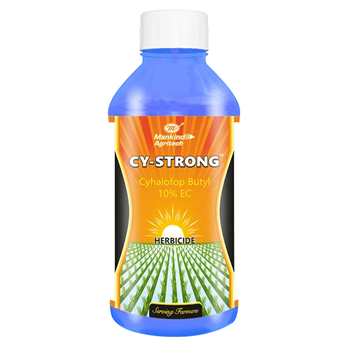 Best Fungicide for Plants: Protecting Crops from Fungal Diseases