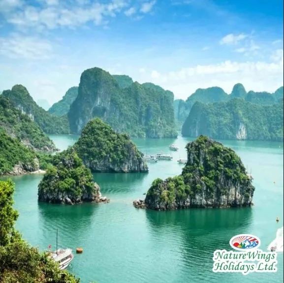 Vietnam Tour Packages from Kolkata for Honeymooners and Couples