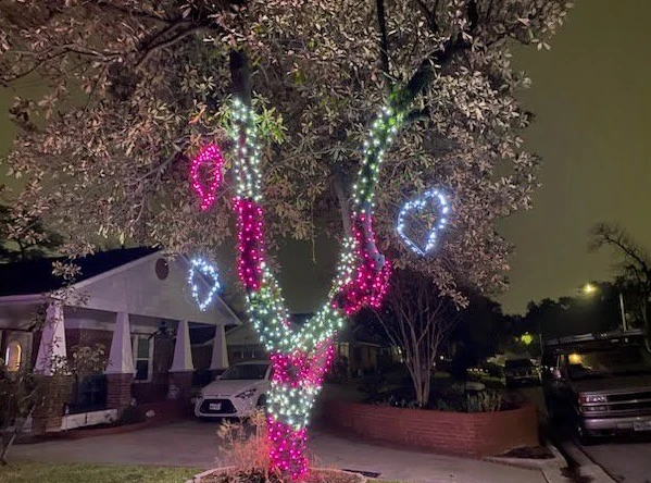 Why Professional Holiday Lighting Saves Time, Stress, and Broken Bulbs