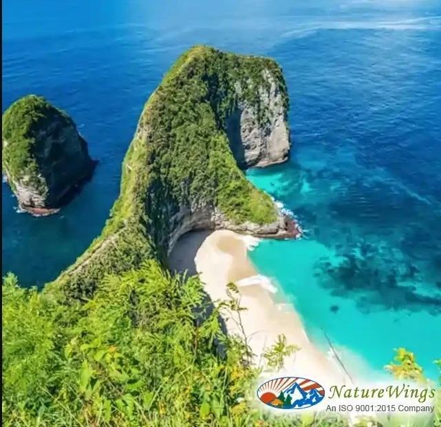 Family Adventures Await with Fun-Filled Bali Tour Packages from Kolkata