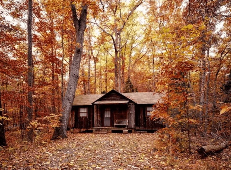 Hipcamp Review: Surprising Insights from 30 Nights of Solo Camping by Cabin Calculator