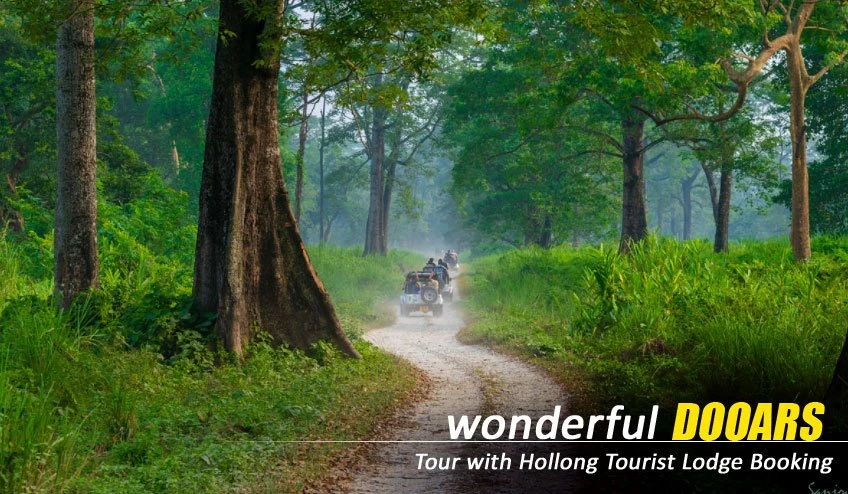 Best Time to Plan Your Dooars Tour Package from Siliguri