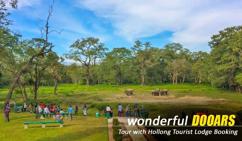 Best Time to Plan Your Dooars Tour Package from Siliguri