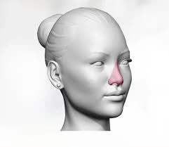 Things to Know About Nose Feminization Surgery