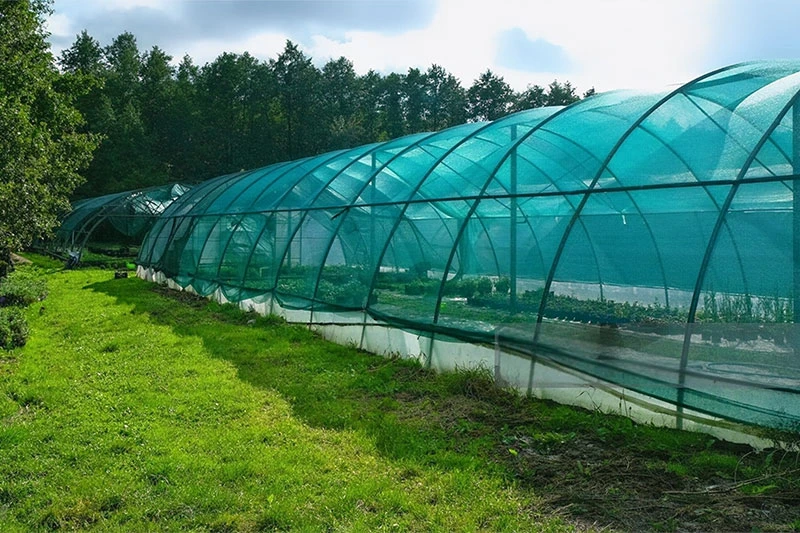 How Agricultural Shade Nets Can Boost Your Crop Yield Year-Round!