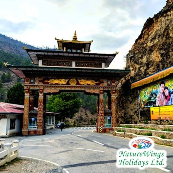 Discover the Land of Happiness with Bhutan Tour Packages from Delhi
