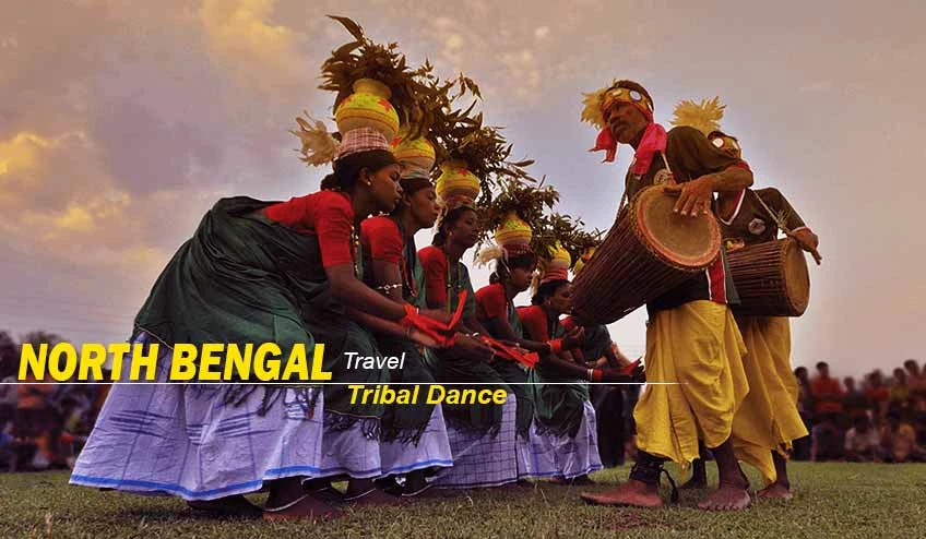 North Bengal Package Tour – Experience the Charm of Lava, Lolegaon, and Rishop