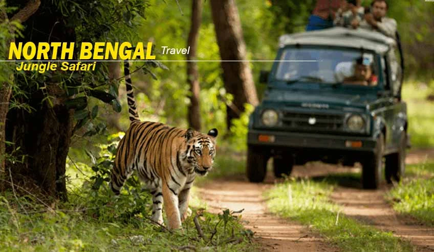 North Bengal Package Tour – Experience the Charm of Lava, Lolegaon, and Rishop