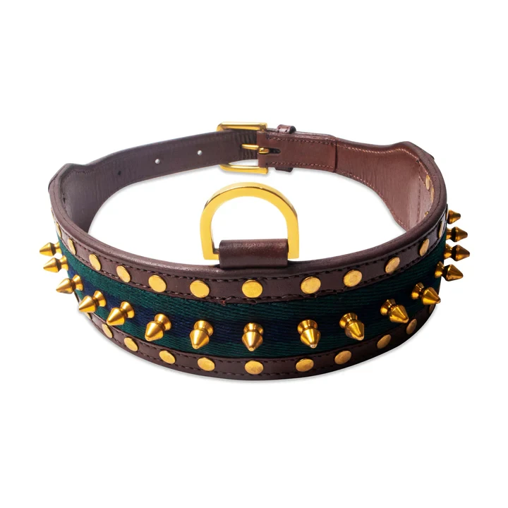 Why Premium Dog Collars Are Essential for Modern Pet Parents