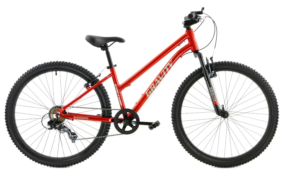 Pedal to Profit: Why More People Are Flipping Bikes Online